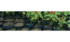 Sera - Seedling Bags