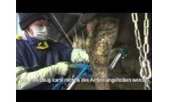Milkline Side-by-Side-Melkstände Pro und Proactive - Japan Video