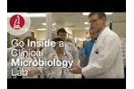 Go Inside a Clinical Microbiology Lab Video