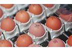Prinzen - Egg Coding Systems