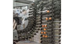 Prinzen - Model Pegasus - Smart Egg Transport System