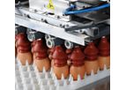 Prinzen Ovoset - Operate and Robust Egg Packing Machines
