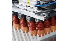 Prinzen Ovoset - Operate and Robust Egg Packing Machines