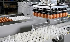 Prinzen - Model Ovoset Pro - Hatching Egg Setters