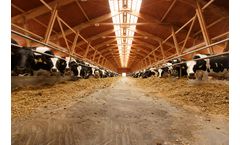 fodjan - Digital Feeding Assistant for Dairy Farmers