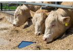 fodjan - Digital Feeding Assistant for Beef Cattle
