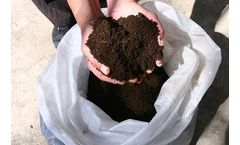 Vermisol - Lumbricus Rubellis Solid