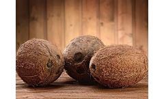Model Cocoverm - Coconut Peat Media