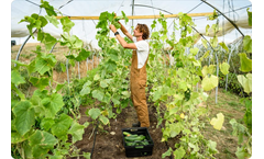 Calix - Model BOOSTER-Mag - Concentrated Aqueous Suspension Technology