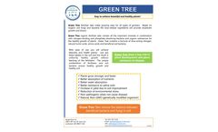 Green Tree - Fertilizer  - Brochure