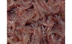 Aquaintech - Biosecure Fresh frozen Krill