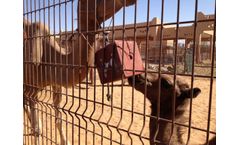 ACTI-Mag - Stock Feed