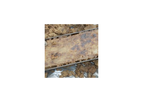 Sustainable Phyto-Pump System
