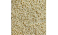 ResinTech - Model WBMP - Styrenic Macroporous Weak Base Anion Resin