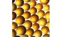 ResinTech - Model CG10-UPS - Cation Exchange Resin Strong Acid Gel 10% DVB, Na Or H Form