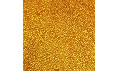 ResinTech - Model CG8-C - Cation Exchange Resin Coarse Mesh Strong Acid Gel 8% DVB, Na Form