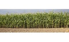 Soil Analysis Services
