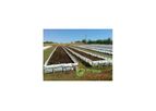 Prima Organic - Biofertilizer