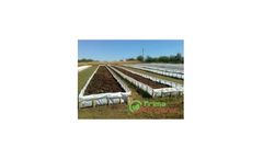 Prima Organic - Biofertilizer