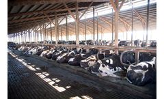 Promat - Model DCC - Dual Chamber Waterbed