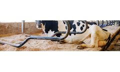 Promat - Comfort Mat