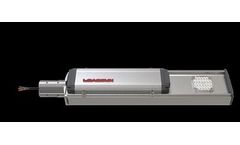 Freedom Lite - On-Grid Electric Supplystreet Light