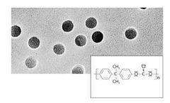 Sartorius - Model 0.4 µm / 25 mm Discs - Polycarbonate Track-Etched Membrane Filters