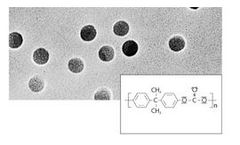 Sartorius - Model 0.1 µm / 25 mm Discs - Polycarbonate Track-Etched Membrane Filters