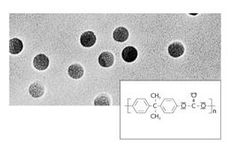 Sartorius - Model 0.8 µm / 25 mm Discs - Polycarbonate Track-Etched Membrane Filters