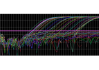 Real-Time PCR in Infection Experiments