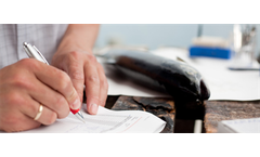 Advisory Services