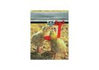 Plasson - Broiler Nipple Drinking Systems
