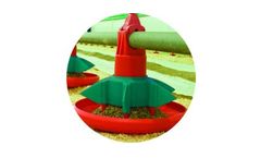 Turkey Poult Feeding Systems