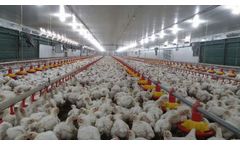 Plasson - Feeder Pans System