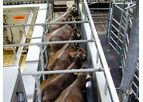 Happel - Herringbone Milking Parlour