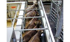 Happel - Herringbone Milking Parlour