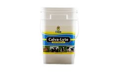 Calva Lyte - Calf Electrolyte Supplement