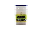 Gold Ribbon - Electrolyte Calf Supplement