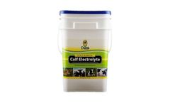 Gold Ribbon - Electrolyte Calf Supplement