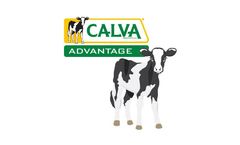 Calva - Advantage Calf Milk Replacer Line