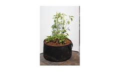 dynaPOT - Fatal Root Pruning System