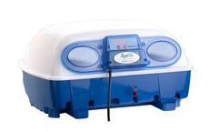 Incubatrici-Borotto - Model Real 24 - Semi-Automatic Poultry Egg Incubator