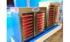 Egg Incubator Borotto Exhibitions Eurotier 2016 Video
