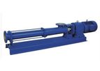 Amerigo - Progressive Cavity Pump