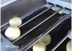 Kerian - Cantaloupe and Other Melon Sorting and Grading Machine