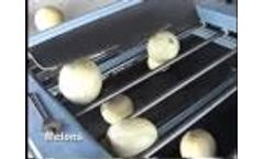 Melons (Watermelon, Canteloupe, etc) Video