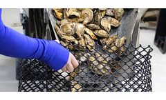 Heavy Duty Diamond Mesh Oyster Bags