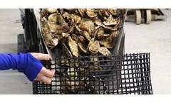 Heavy Duty Square Mesh Oyster Bags