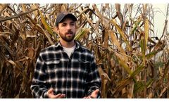 Pasture converted to grain crops benefits yield and soil health long term - Video