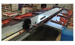 Fachaux - Calib Electronic Fruit Sizing Machine